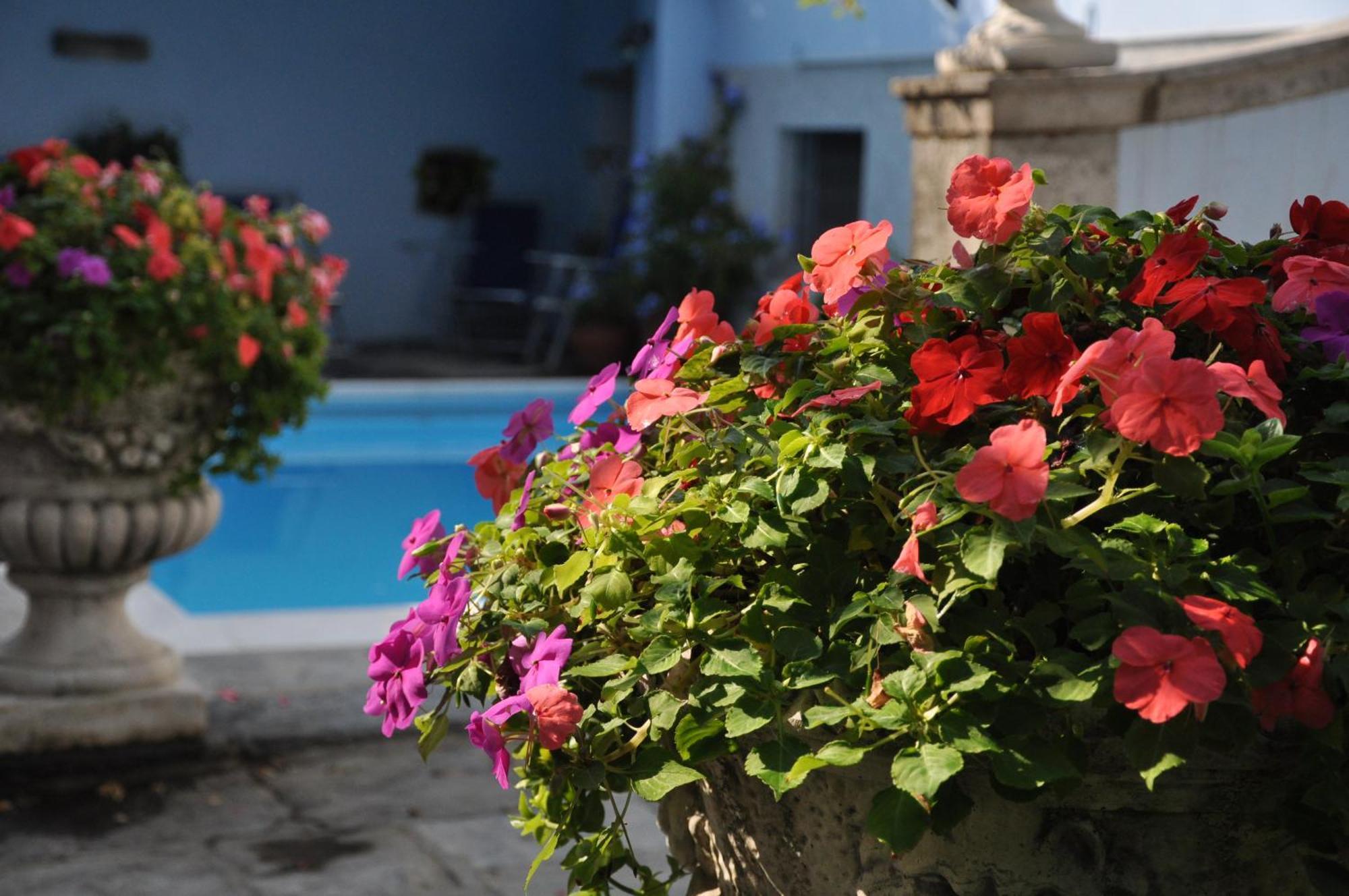 Villa Annamaria B&B Domaso Exterior photo